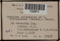 Image Associated With the Occurence